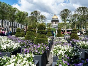 «Липовый» сад. Как бизнесмен заплатил за «подарок города петербуржцам» и теперь не может вернуть деньги